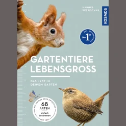 Discount Waschbär Gartentiere lebensgroß.