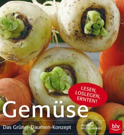 New Waschbär Gemüse. Das Grüner-Daumen-Konzept.