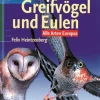 Sale Waschbär Greifvögel und Eulen.