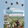 Clearance Waschbär Grundkurs Vogelbestimmung. Vorbereitung, Planung und Strategie der erfolgreichen Vogelbeobachtung.