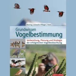 Clearance Waschbär Grundkurs Vogelbestimmung. Vorbereitung, Planung und Strategie der erfolgreichen Vogelbeobachtung.