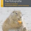 Clearance Waschbär Grundlagen Tierfotografie: Profifotos in 3 Schritten - Faszinierende Bildideen und ihre Umsetzung