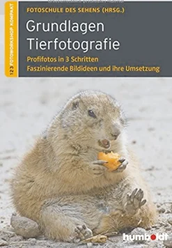 Clearance Waschbär Grundlagen Tierfotografie: Profifotos in 3 Schritten - Faszinierende Bildideen und ihre Umsetzung