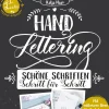 Clearance Waschbär Handlettering: Schöne Schriften - Schritt für Schritt.