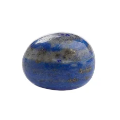 Waschbär Handschmeichler Lapislazuli.