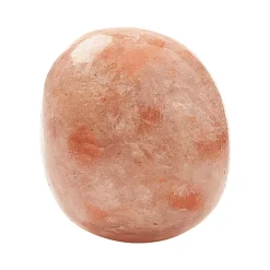 Clearance Waschbär Handschmeichler Sonnenstein.