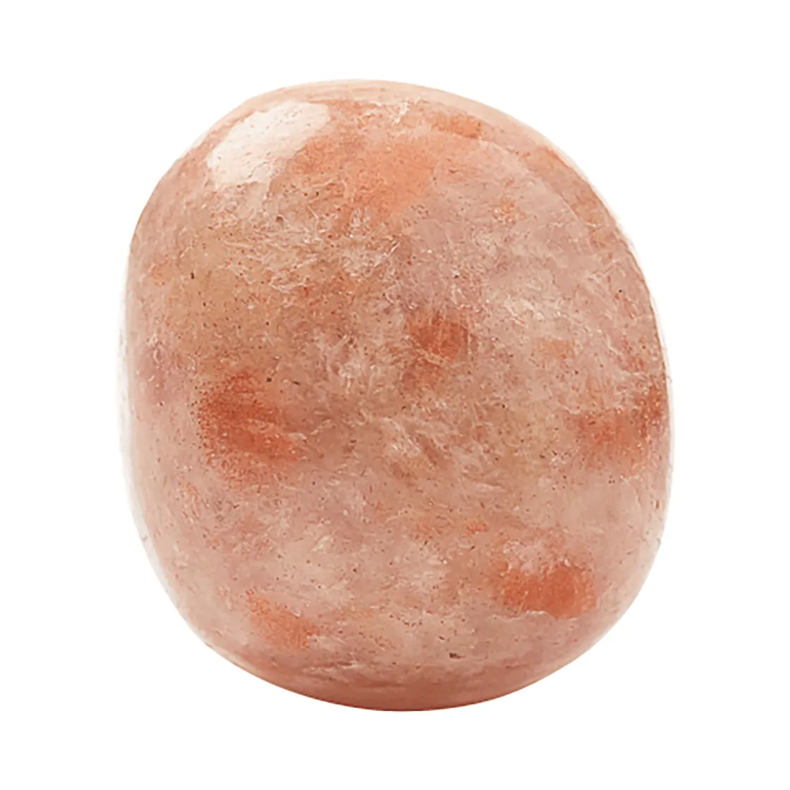 Clearance Waschbär Handschmeichler Sonnenstein.