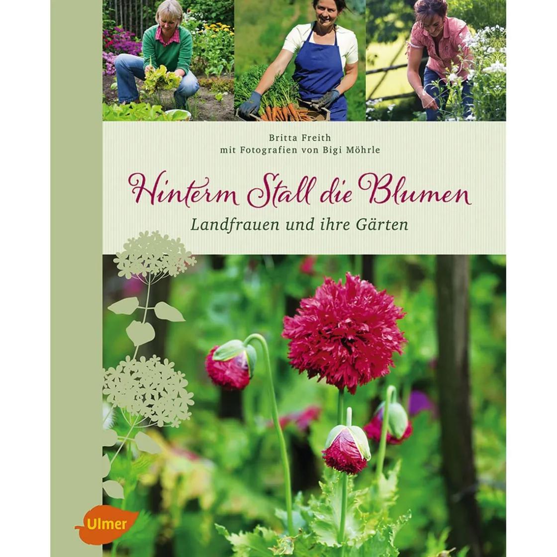 Best Waschbär Hinterm Stall die Blumen. Landfrauen und ihre Gärten.