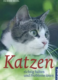 Clearance Waschbär Katzen richtig halten und Probleme lösen