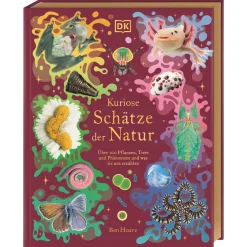 Clearance Waschbär Kuriose Schätze der Natur: Über 100 Pflanzen, Tiere und Phänomene und was sie uns erzählen. Hochwertig ausgestattet mit Goldfolie und Goldschnitt. Für Kinder ab 8 Jahren.