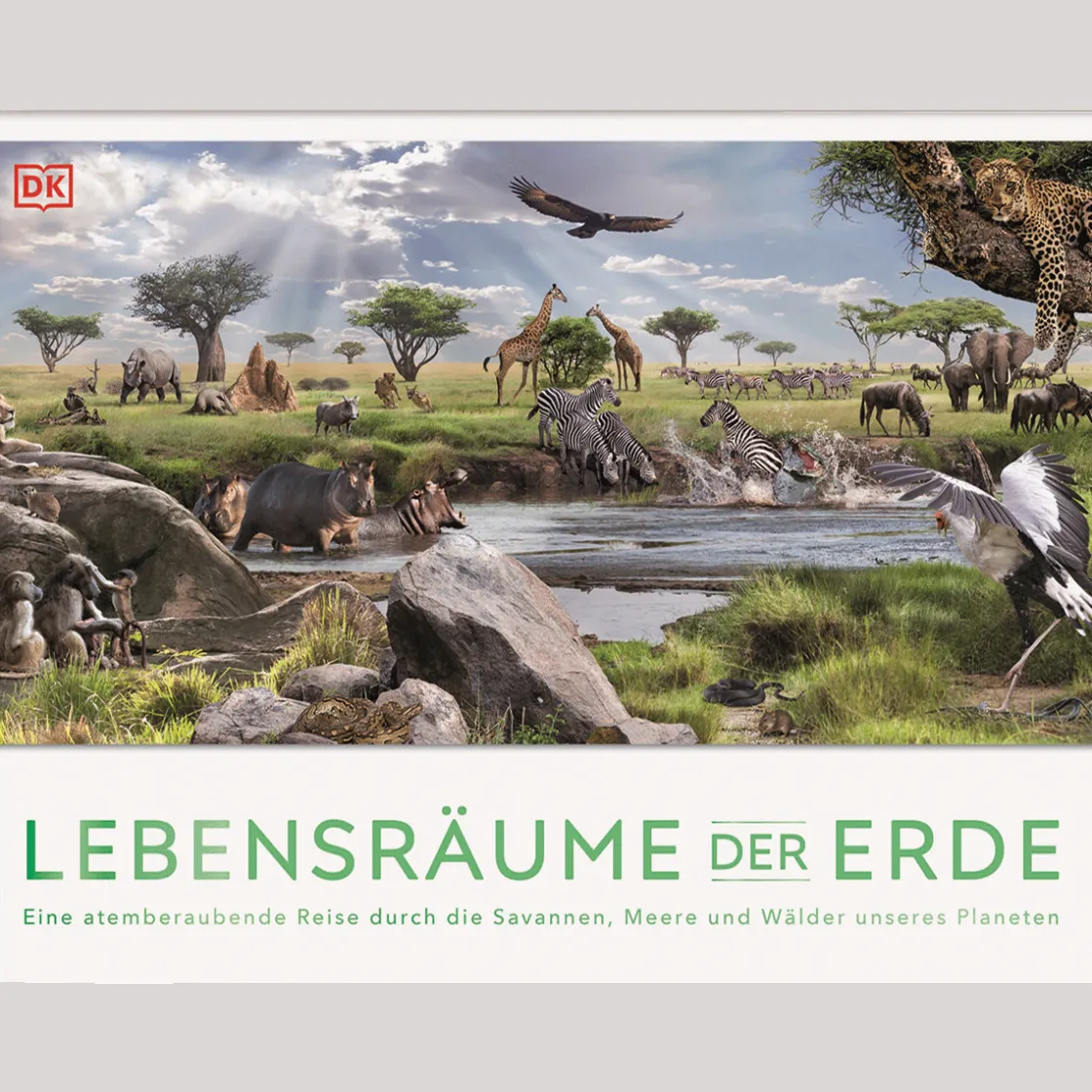 Waschbär Lebensräume der Erde.