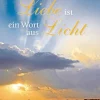 Waschbär Liebe ist ein Wort aus Licht