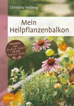 Sale Waschbär Mein Heilpflanzenbalkon