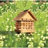 Clearance Waschbär Nisthilfe für Bienen.