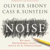 Hot Waschbär Noise. Was unsere Entscheidungen verzerrt. Und wie wir sie verbessern können.