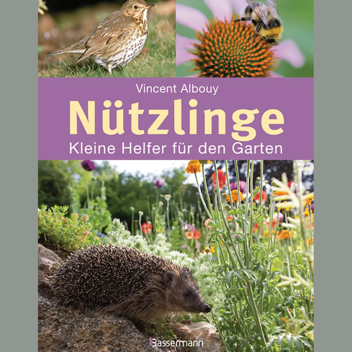 Clearance Waschbär Nützlinge. Kleine Helfer für den Garten.
