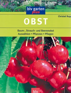 Discount Waschbär Obst.