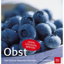Discount Waschbär Obst. Das Grüner-Daumen-Konzept.
