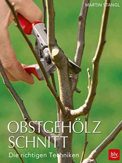 Discount Waschbär Obstgehölzschnitt.