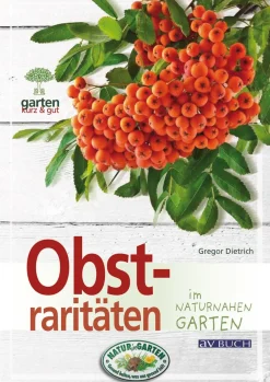 Hot Waschbär Obstraritäten im naturnahen Garten.