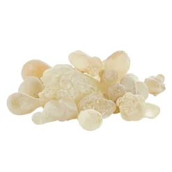 Best Waschbär Oman Weihrauch „Royal Hojari“