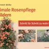 Clearance Waschbär Optimale Rosenpflege in Bildern - Schritt für Schritt zu mehr Erfolg