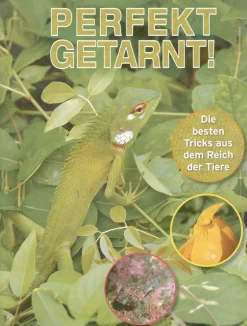 Best Waschbär Perfekt getarnt! Die besten Tricks aus dem Reich der Tiere.