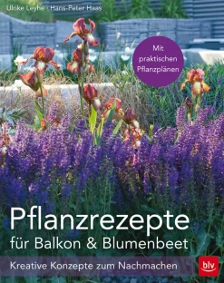 Hot Waschbär Pflanzrezepte für Balkon und Blumenbeet.