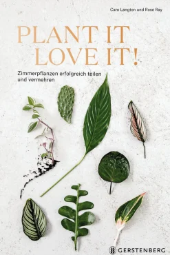 Hot Waschbär Plant it - love it! Zimmerpflanzen erfolgreich teilen und vermehren.