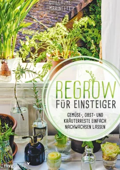 Clearance Waschbär Regrow für Einsteiger. Gemüse-, Obst- und Kräuterreste einfach nachwachsen lassen.