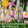 Sale Waschbär Robuste Schönheiten für den Garten. Wie Sie Ihren Garten für das Klima wandeln.