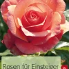 Best Waschbär Rosen für Einsteiger. Die schönsten Sorten und ihre Pflege.