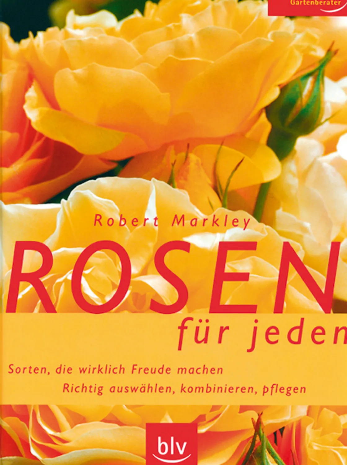 Best Waschbär Rosen für jeden. Sorten, die wirklich Freude machen. Richtig auswählen, kombinieren, pflegen.