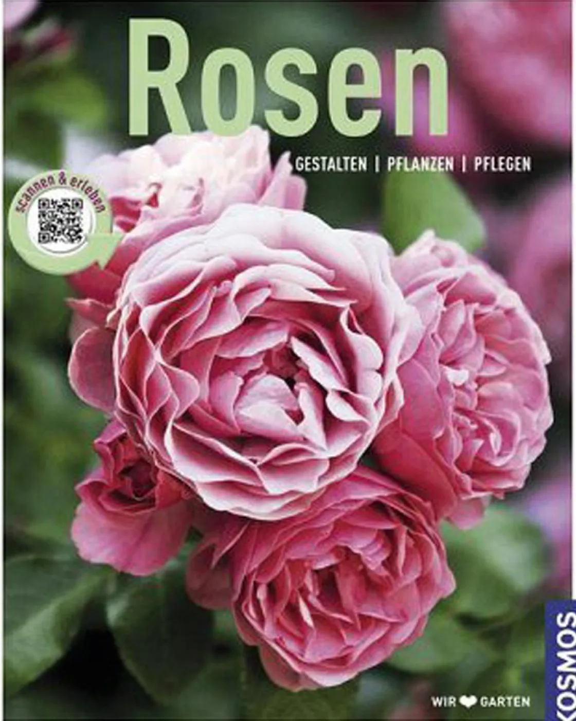 Best Waschbär Rosen. Gestalten, Pflanzen, Pflegen.