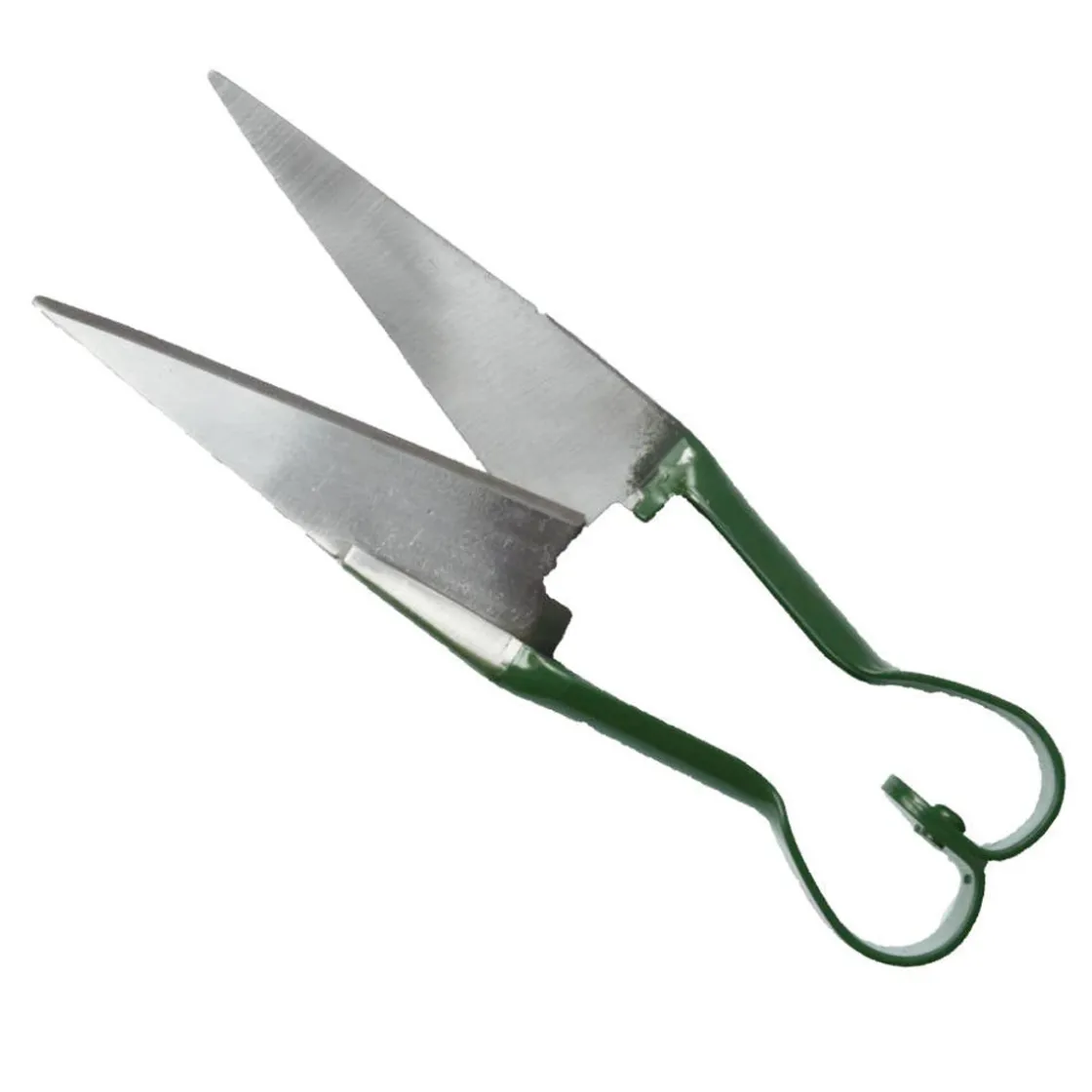 Best Waschbär Schere für Kräuter.