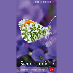 Discount Waschbär Schmetterlinge. Bestimmen in drei Schritten.