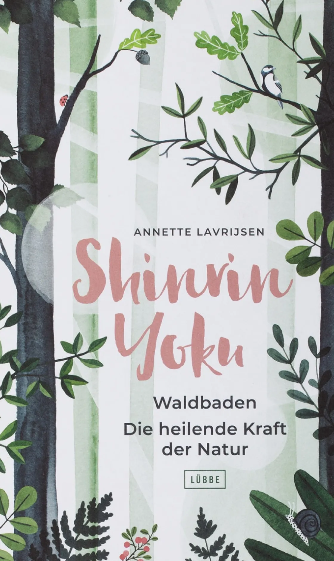 Clearance Waschbär Shinrin Yoku. Waldbaden. Die heilende Kraft der Natur.