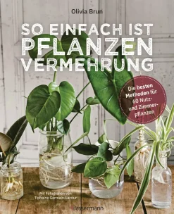 Waschbär So einfach ist Pflanzenvermehrung. Die besten Methoden für 60 Nutz- und Zimmerpflanzen.