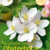 Clearance Waschbär So schneide ich meine Obstgehölze. Obstbäume & Beerensträucher.
