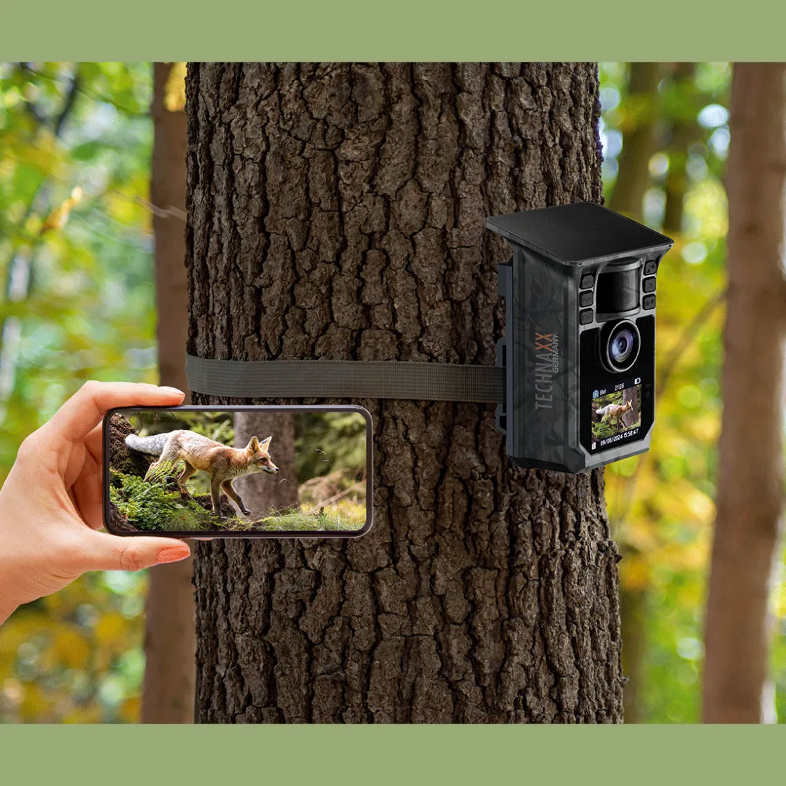 New Waschbär Solar Wifi Wildtierkamera