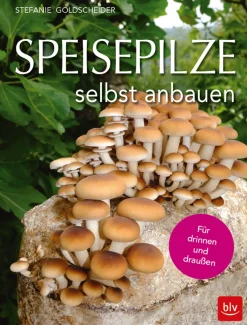 Clearance Waschbär Speisepilze selbst anbauen. Für drinnen und draußen.