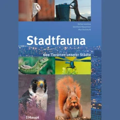 Sale Waschbär Stadtfauna. 600 Tierarten unserer Städte.