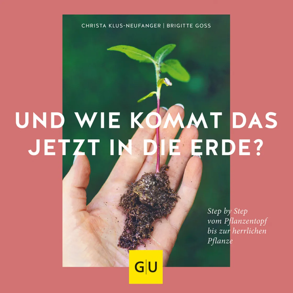 Sale Waschbär Und wie kommt das jetzt in die Erde? Step by Step vom Pflanztopf bis zur herrlichen Pflanze.