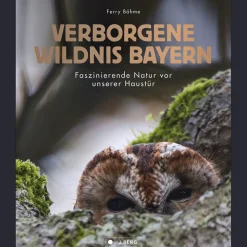 New Waschbär Verborgene Wildnis Bayern. Faszinierende Natur vor unserer Haustür.