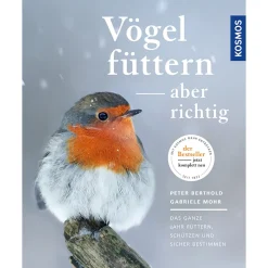 Online Waschbär Vögel füttern, aber richtig.