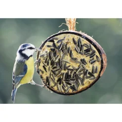 Best Waschbär Vogelfutter, gefüllte 1/2 Kokosnuss, 10er Set