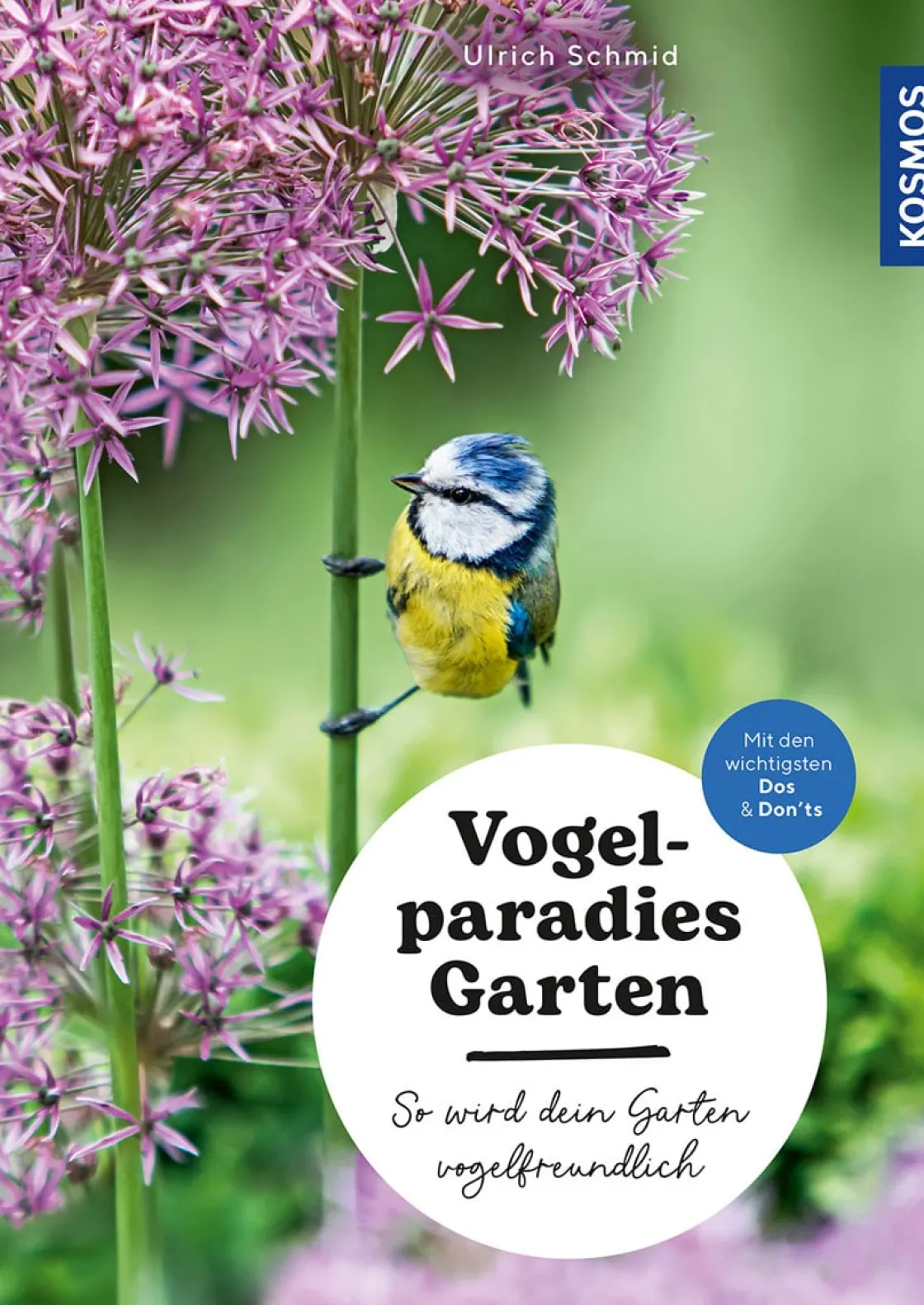 Waschbär Vogelparadies Garten. So wird dein Garten vogelfreundlich.