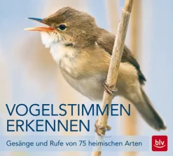 Best Waschbär Vogelstimmen erkennen