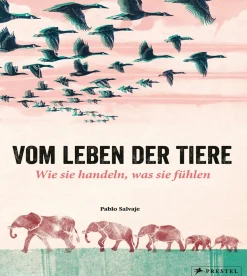 Best Waschbär Vom Leben der Tiere. Wie sie handeln, was sie fühlen.