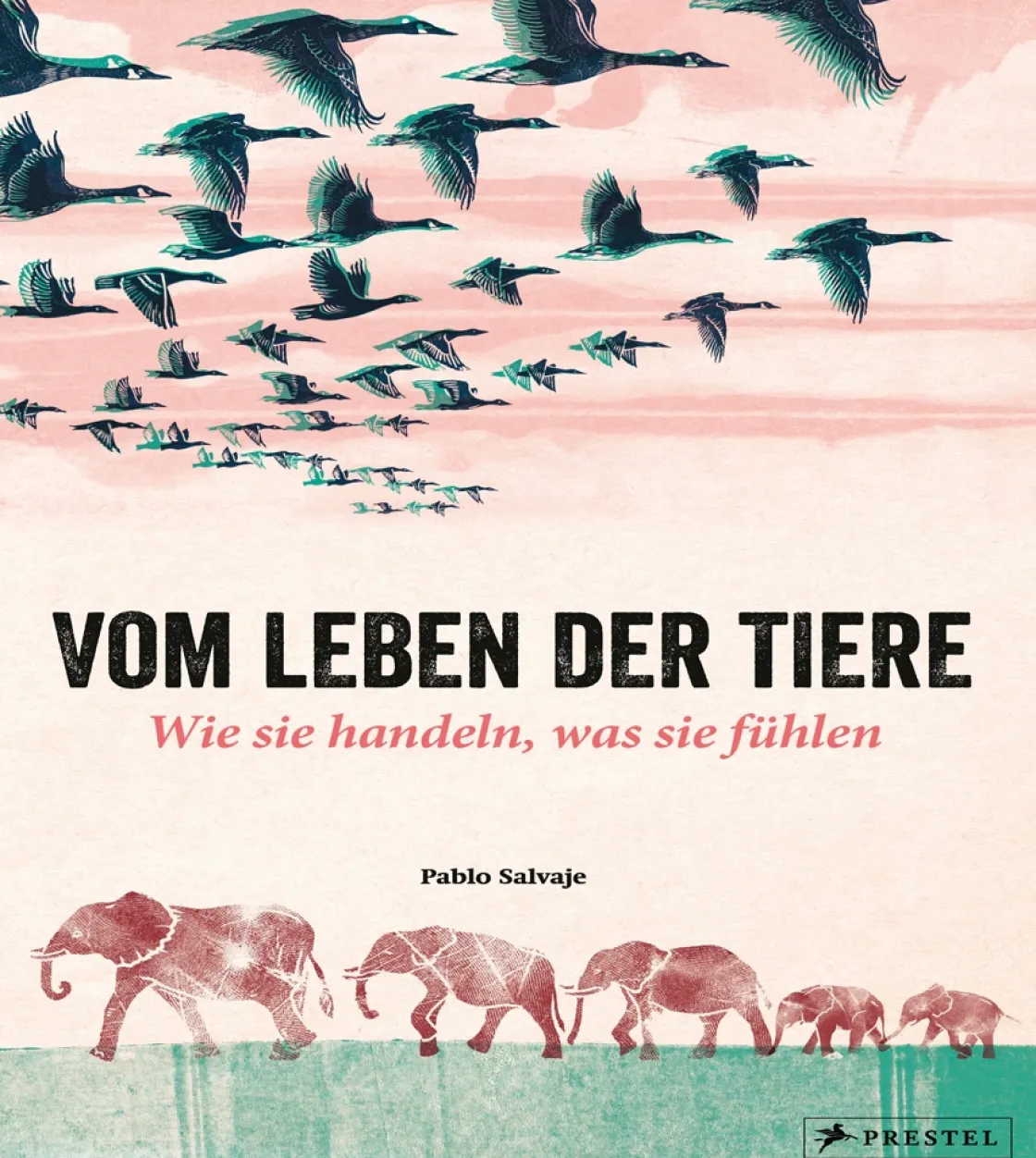Best Waschbär Vom Leben der Tiere. Wie sie handeln, was sie fühlen.